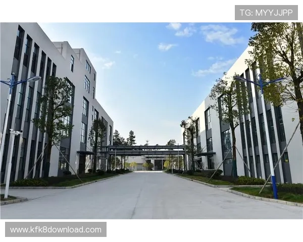 凯发集团下载官网网址查询：最新官方入口指南与操作流程详解